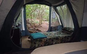 Adorable Unique Guest House - African Bush Feel