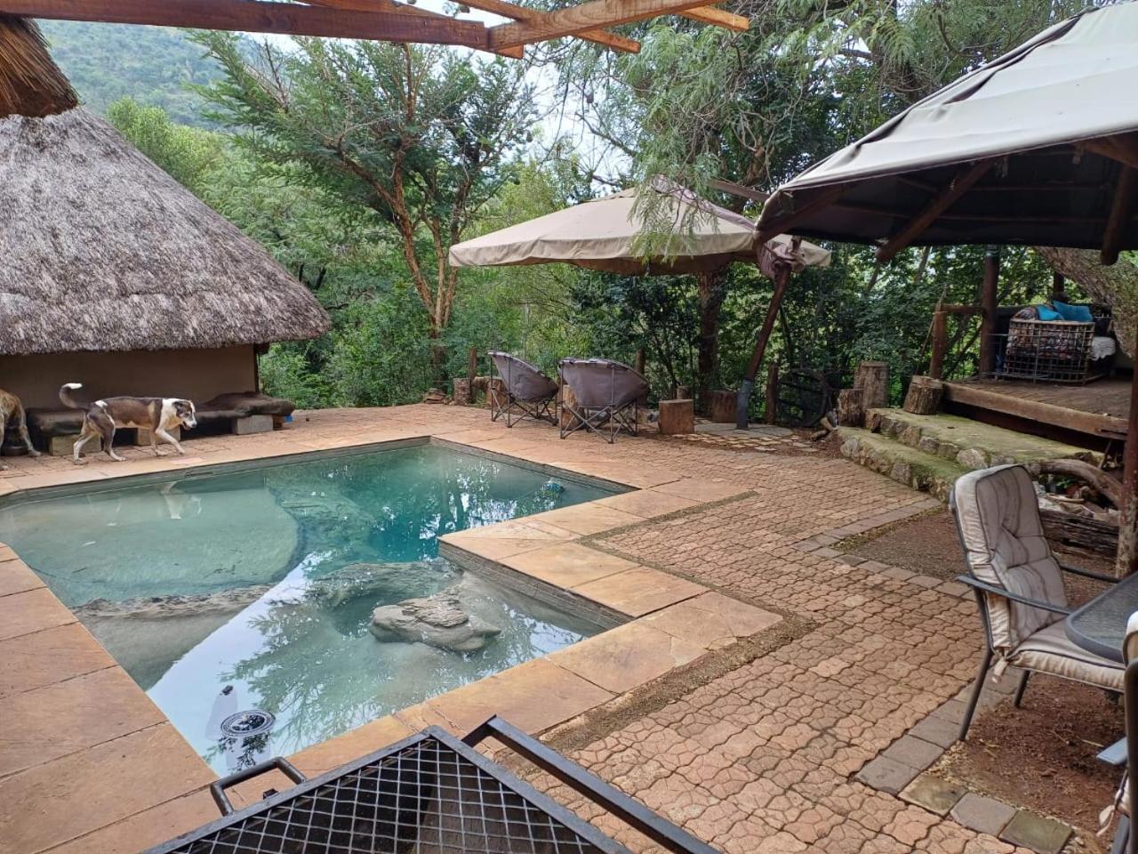 Adorable Unique Guest House - African Bush Feel Kalkheuvel Exterior foto